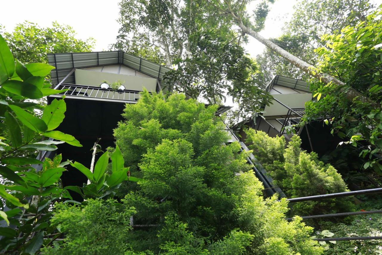 Moselberg Riverside Cottages Munnar Exterior foto